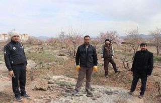 (Özel) Evinden çıkamayan yaşlı amcanın bağını...