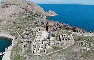 (Özel haber) Akdamar Adası açan çiçeklerle beyaz...