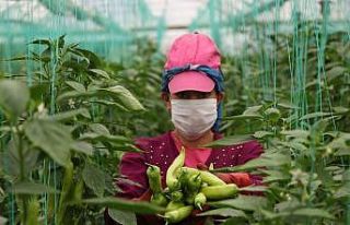 (Özel) Herkes evde onlar üretimde