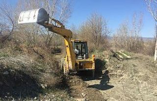 (Özel) Kastamonu’da 9 bin dekar arazide pirinç...