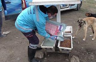 (Özel) Korona virüs Covid-19 salgınında sokak...