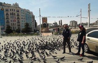 (ÖZEL) Polisler Taksim Meydanı’nda güvercinleri...
