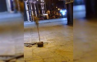 (Özel) Taksim’de yasak sonrası Tom Jerry çizgi...