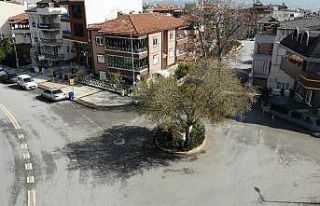 (Özel) Yolun ortasında tek kaldı, görenler şaşkına...