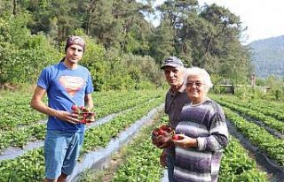 Öztürk Ailesi huzur ve mutluluğu toprakta buldu