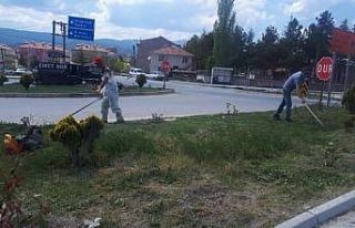 Parklar ve yol kavşaklarında ot biçimi ve bahar...