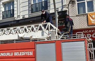 Pencere ile korkuluk camı arasına sıkışan güvercin...