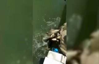 Pet şişeyi gören jandarma, torbalarla saklanan...