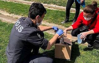 Polis memuru, aç martının imdadına yetişti