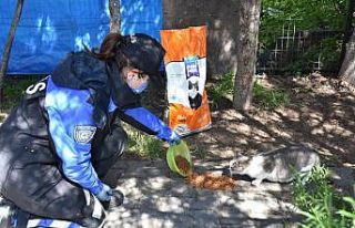 Polisler hayvanları besledi