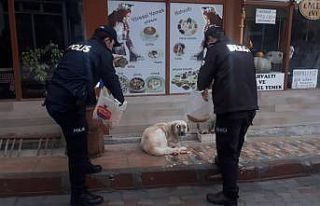 Polisler sokak hayvanlarını elleriyle besledi