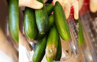 Poşette satış fırsatçılarına darbe üstüne...