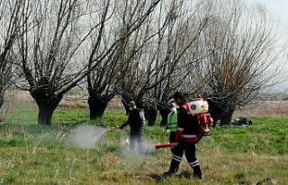 Pursaklar’da yaz öncesi ilaçlama