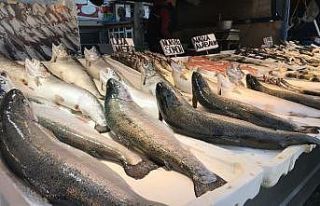 Ramazan ayında balık tezgahlarının gözdesi somon...