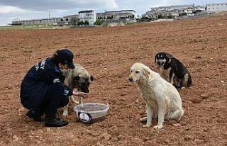 Şahinbey Belediyesi sokağa çıkma yasağında sokak...
