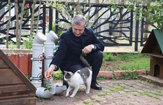 Şahinbey sokak hayvanlarını unutmadı