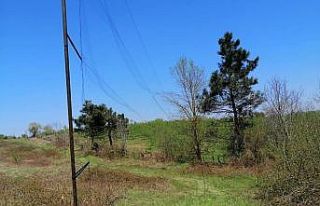 Saka kuşu avlamak için ağ gerdiler