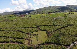 Samsun Şehir Hastanesi’nin zemin etüt çalışmaları...