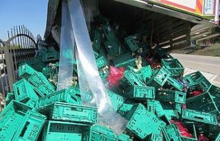 Sandıklı’da meyve ve sebze yüklü kamyon devrildi:...