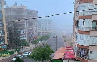 Şanlıurfa’da boş cadde ve sokakları sis kapladı