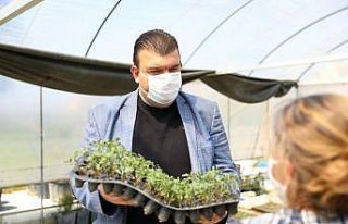 Seferihisar’da 50 bin fide dağıtımı yapılacak