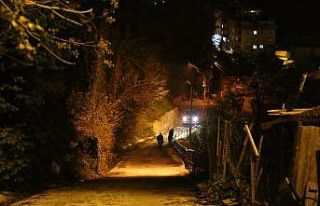 Şehre inan ayılar ortalığı birbirine kattı