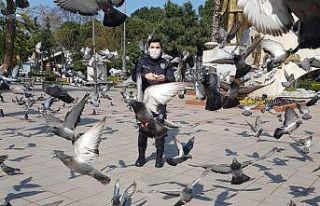 Şehrin kahramanları sokak hayvanlarını unutmadı