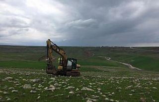 Sele kapılan hayvanları Bağlar Belediyesi kurtardı