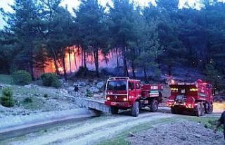 Seydikemer’de orman yangını