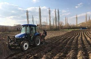 Seyitgazili çiftçiler patates ekimine başladılar