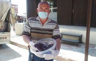 Şifa kaynağı ’Sumak’ yok satıyor