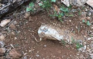 Siirt’te PKK’lı teröristlerce araziye tuzaklanan...