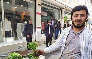 Silvan’da  sebze fideleri satışı başladı