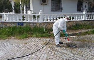 Sineksiz bir Edremit için mücadele devam ediyor