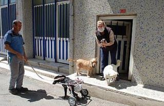 ‘Sinirden ellerim titriyor’ diyerek köpeğini...