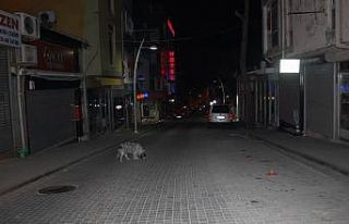Sokağa çıkma kısıtlaması başladı, yollar boş...