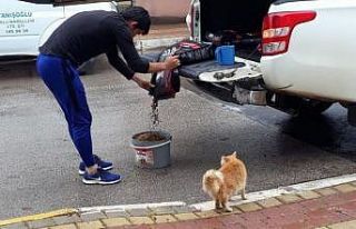 Sokağa çıkma kısıtlamasında can dostları unutulmadı