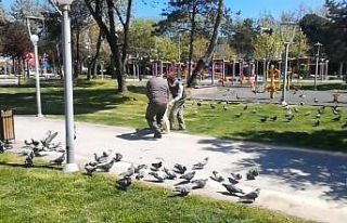 Sokağa çıkma kısıtlamasında sokak hayvanları...