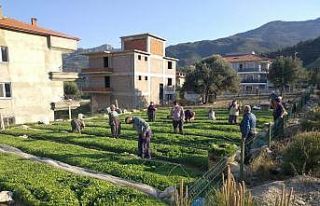 Sokağa çıkma kısıtlamasından muaf olan çiftçiler...