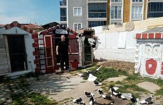 Sokağa çıkma kısıtlamasını bağ evinde güvercinleriyle...