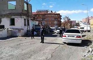 Sokağa çıkma kısıtlamasını hiçe sayıp, güvercinler...