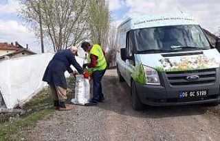 Sokağa çıkma yasağında sevimli dostlara şefkat...