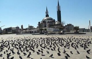 Sokağa çıkma yasağında Taksim Meydanı kuşlara...