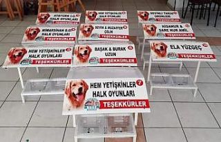 Sokak hayvanları için aş evleri yapıldı