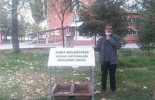 Sokak hayvanları için beslenme odakları yapılıyor