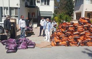 Sokak hayvanları için Kuşadası’na 4 ton mama...