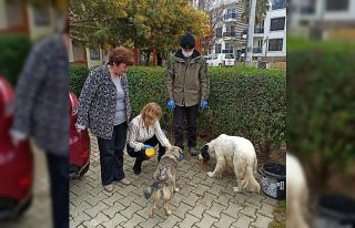 Sokak hayvanları için mama dağıtımı yapıldı