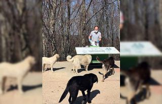 Sokak Hayvanları Sahipsiz Kalmadı