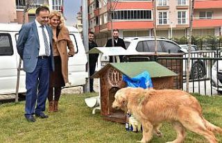 Sokak hayvanlarına Başkan Şahin’den destek geldi
