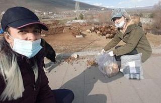 Sokak hayvanlarına Çıldırlı bayanlar sahip çıktı